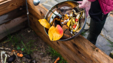using garbage as fertilizers