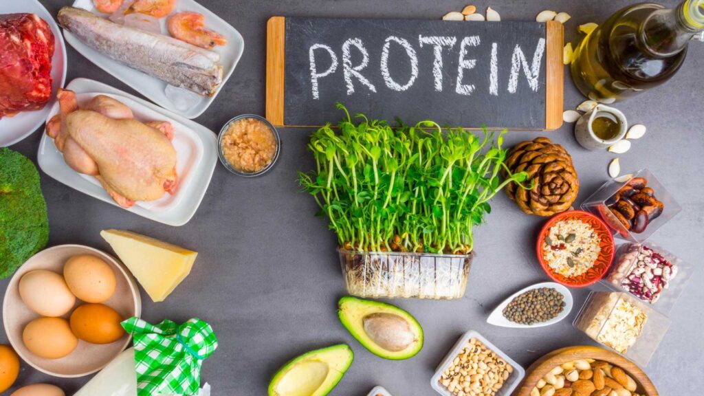 Protein in macronutrients.