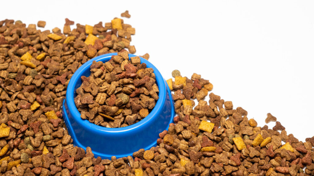 pet food